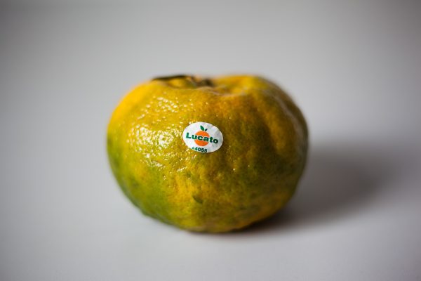 Lucato
