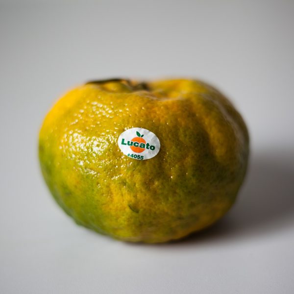 Lucato