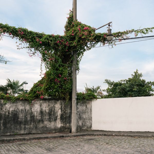 Sem título #9